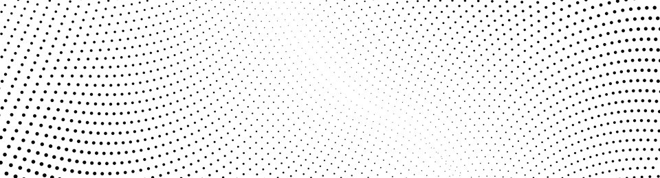 wisszone cover image